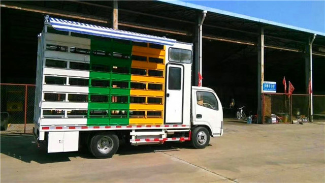 帶生活區(qū)藍(lán)牌養(yǎng)蜂車，兩邊固定意蜂箱40箱